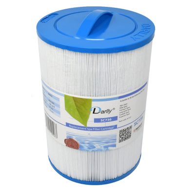 Passion spas (zamjenski) filter 736